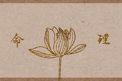 老皇历 老皇历万年历 皇历